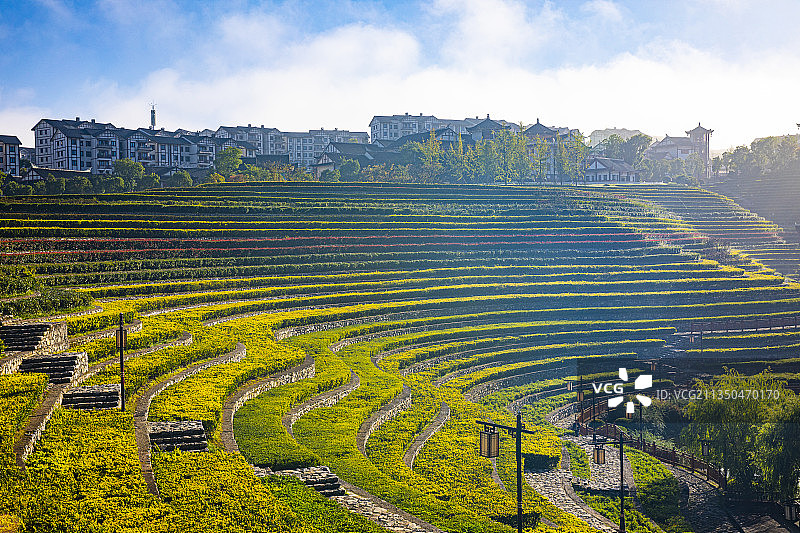 中国贵州毕节市大方县奢香古镇风光---建筑与梯田图片素材