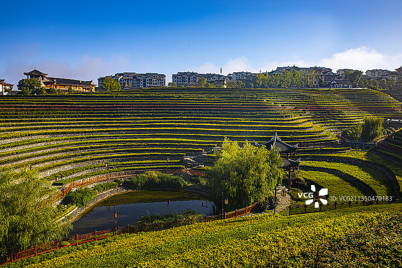 中国贵州毕节市大方县奢香古镇风光---建筑与梯田图片素材