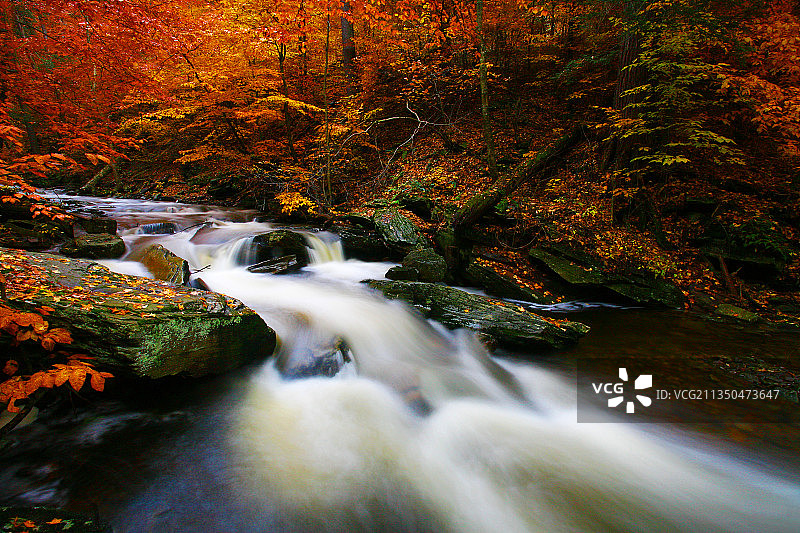 Ricketts Glen州立公园秋季森林瀑布的壮丽景色，美国图片素材