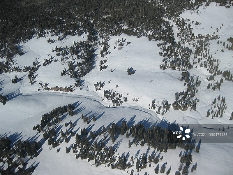 白雪皑皑的陆地上树木的高角度景观图片素材