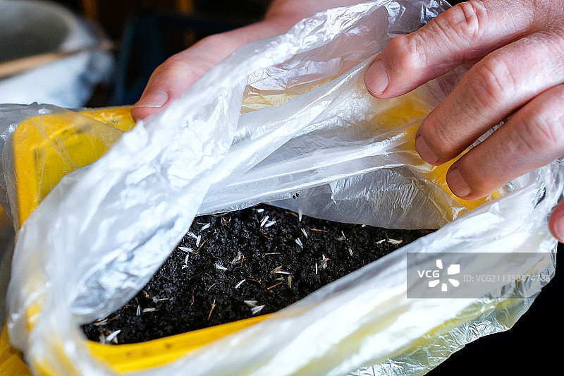 展示地面上的种子和打开的容器，家庭园艺图片素材