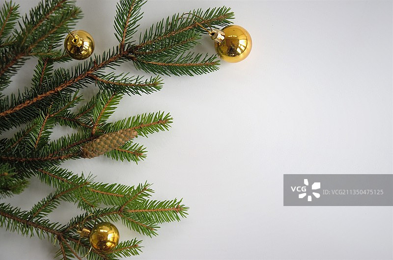 白色背景下的圣诞树特写图片素材