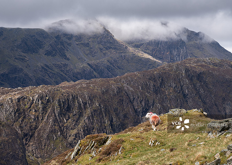 男子站在英国科克茅斯弗利特威克派克山顶的背影图片素材