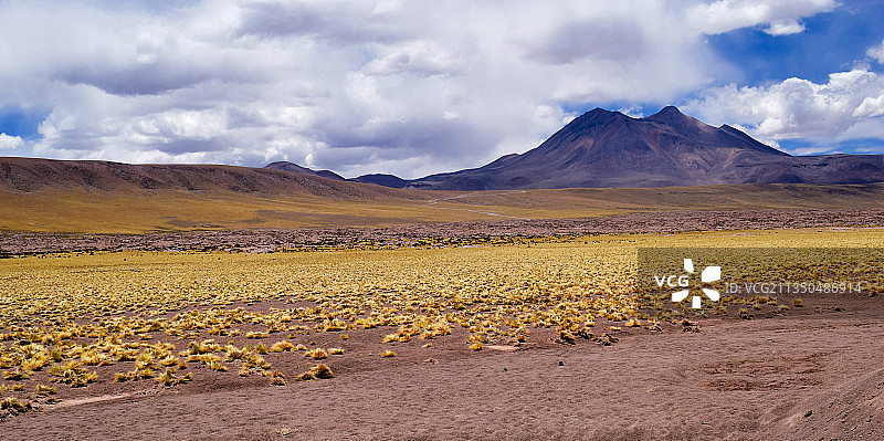 智利安托法加斯塔圣佩德罗阿塔卡马的田野风光图片素材