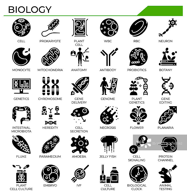 生物学与科学字形设计图标集图片素材