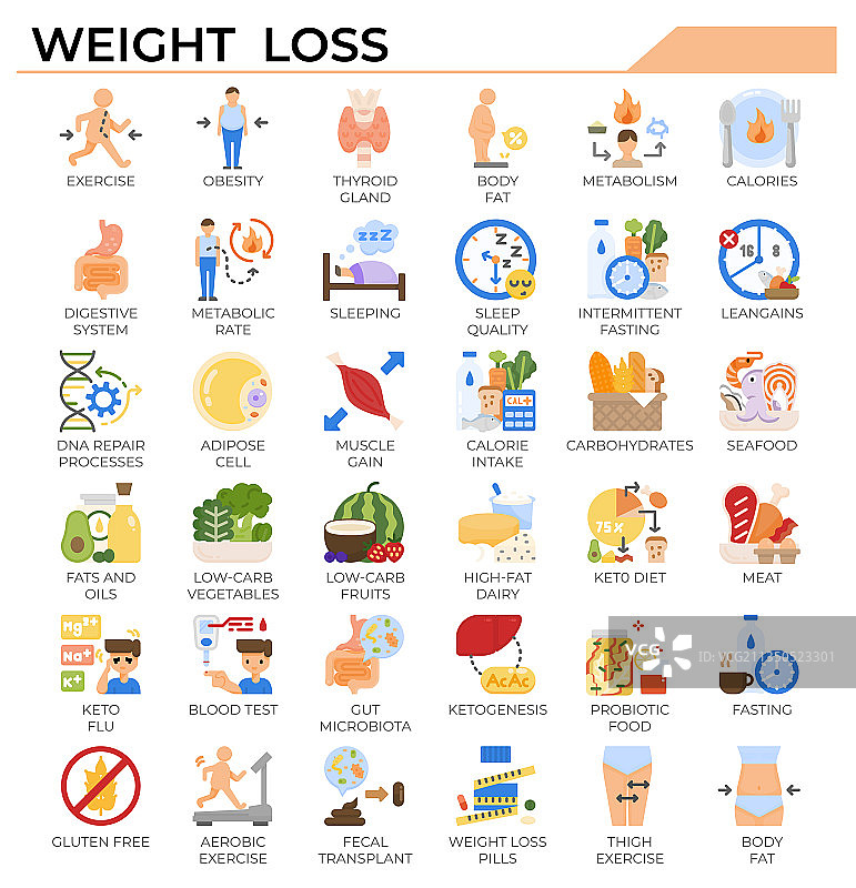 减肥和生酮饮食图标集图片素材