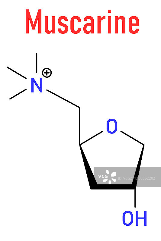 毒蝇碱分子骨骼式图片素材