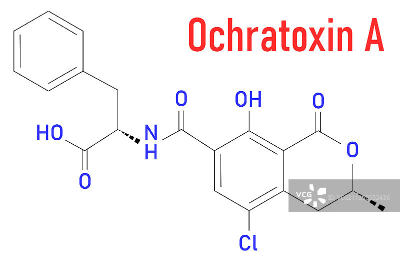 赭曲霉毒素A分子骨骼式图片素材