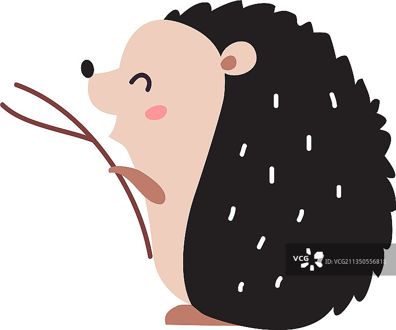 可爱的多刺刺猬森林动物图片素材