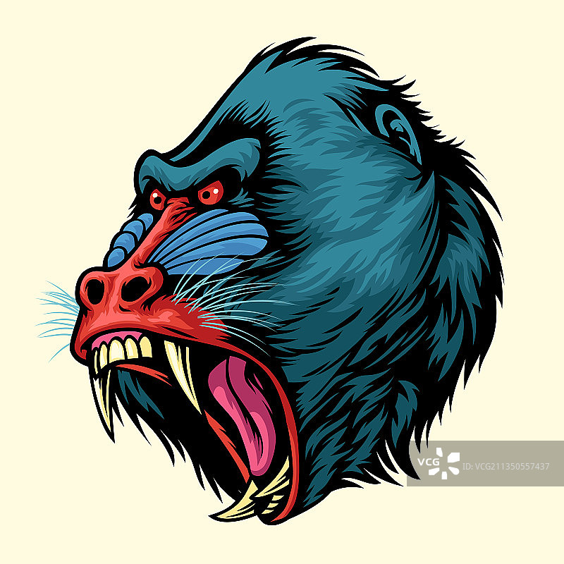 手绘愤怒的山魈猴头图片素材
