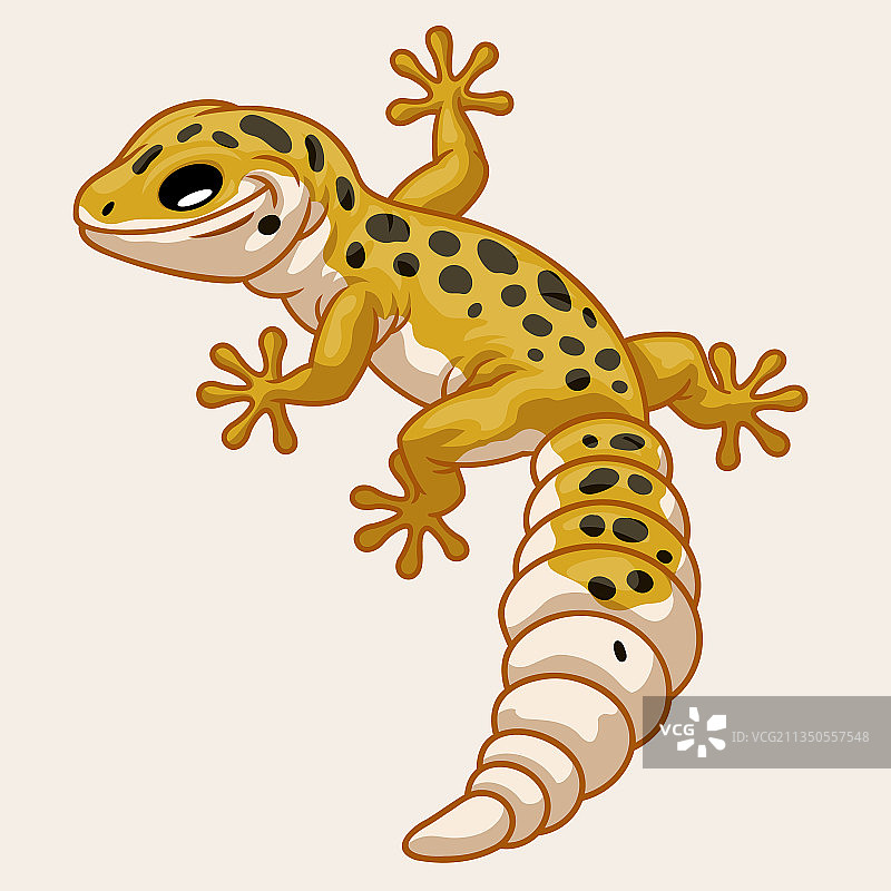 可爱卡通风格的豹纹壁虎图片素材