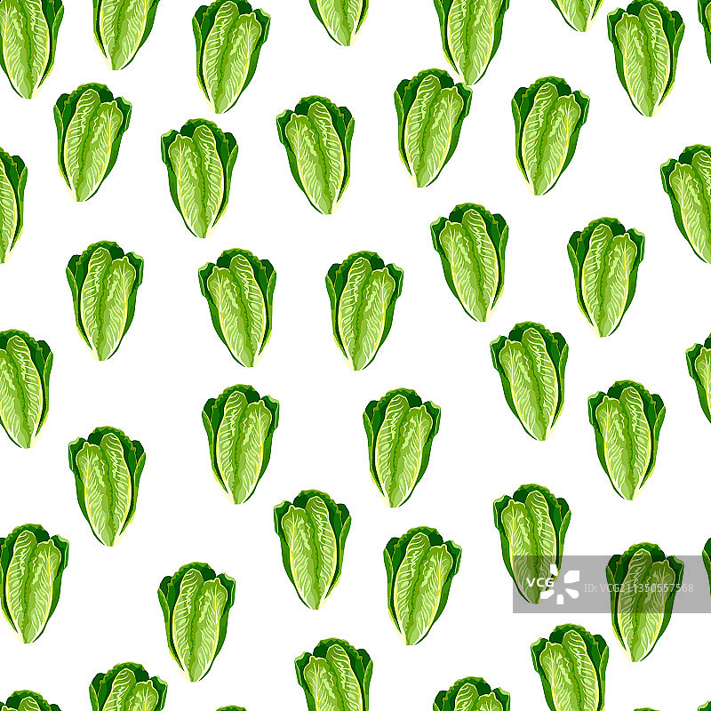 白色背景罗马生菜沙拉无缝图案图片素材