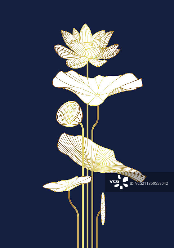 奢华莲花封面设计模板图片素材