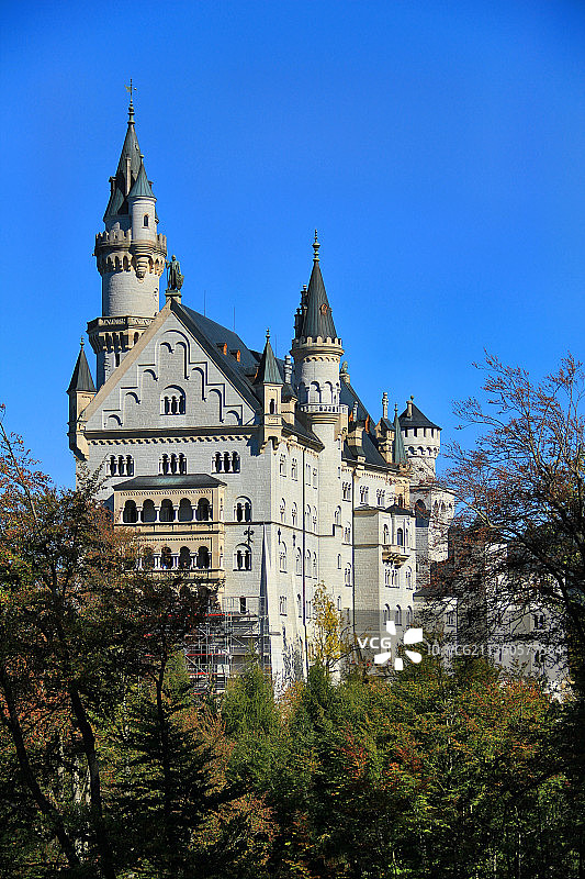 掩映在丛林中的新天鹅堡图片素材