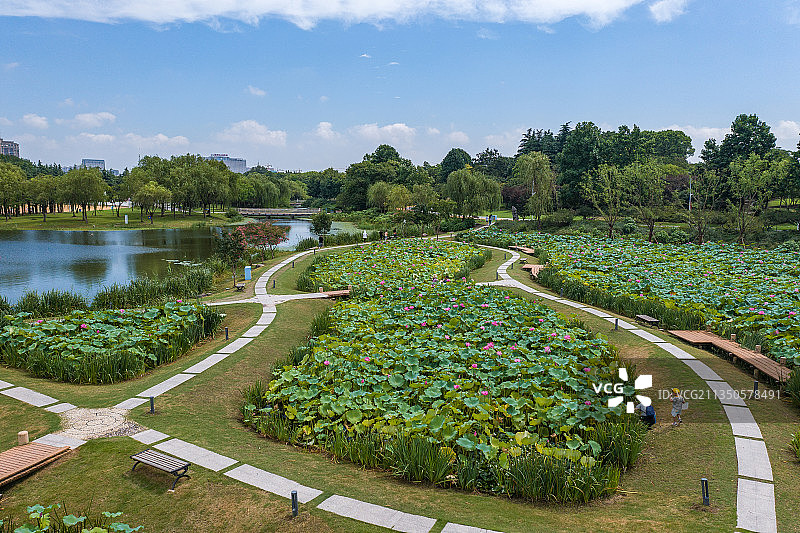 江苏省泰州市天德湖公园图片素材