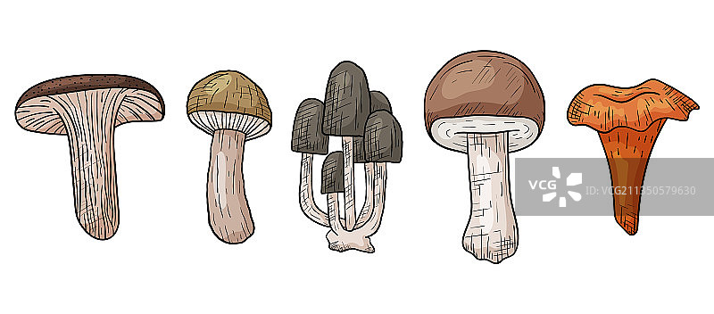 秋季涂鸦森林蘑菇素材图片素材