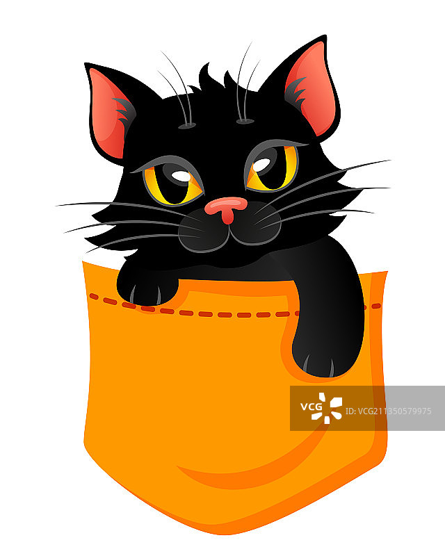 口袋里的黑猫图片素材