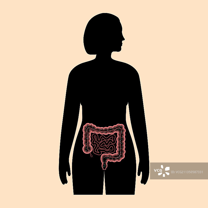 肠道微生物群概念图片素材