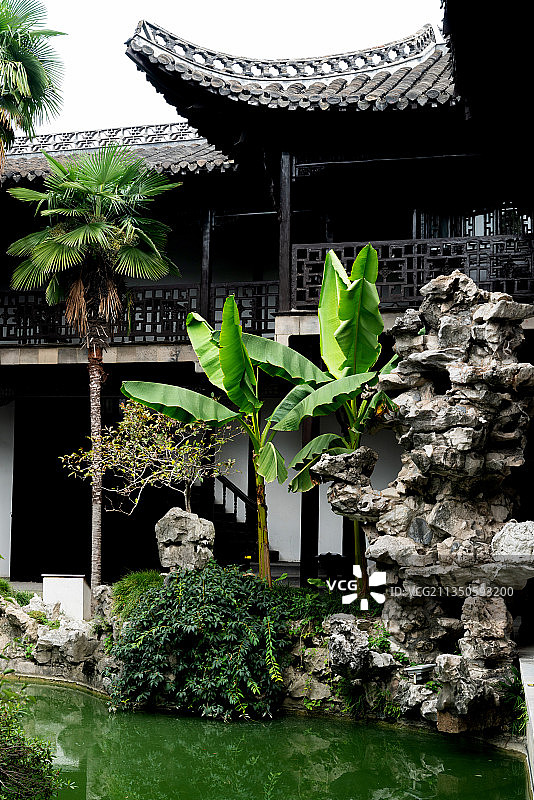 扬州何园中的芭蕉树图片素材