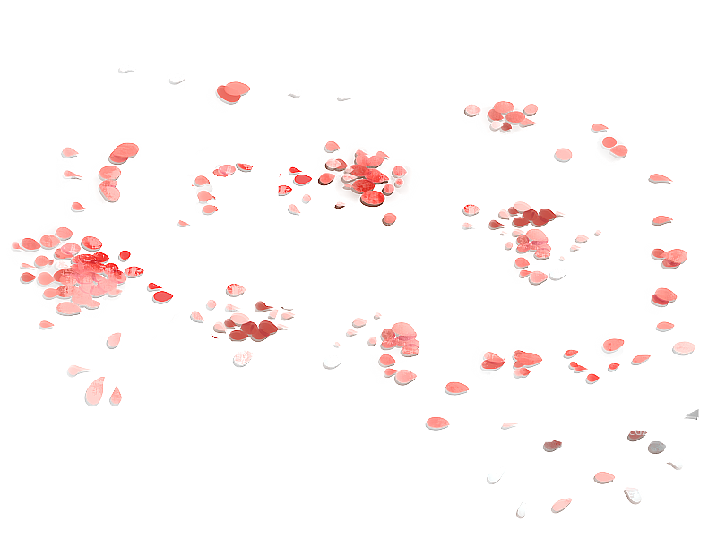 中国风飘落的花瓣插画元素图片素材