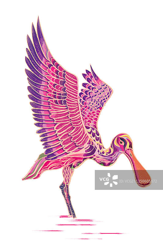 白琵鹭的装饰画图片素材