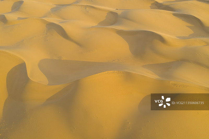 金色沙漠图片素材