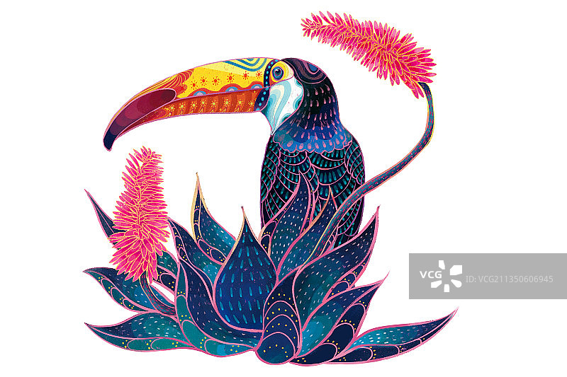 犀鸟和芦荟花图片素材