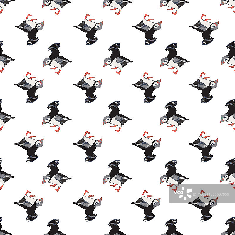 白色背景上的海洋海鸟北极图片素材