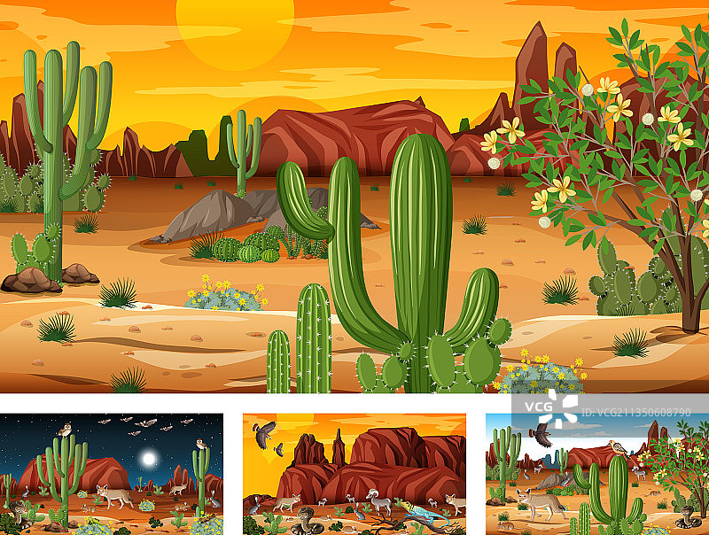 有动物的不同沙漠森林场景图片素材