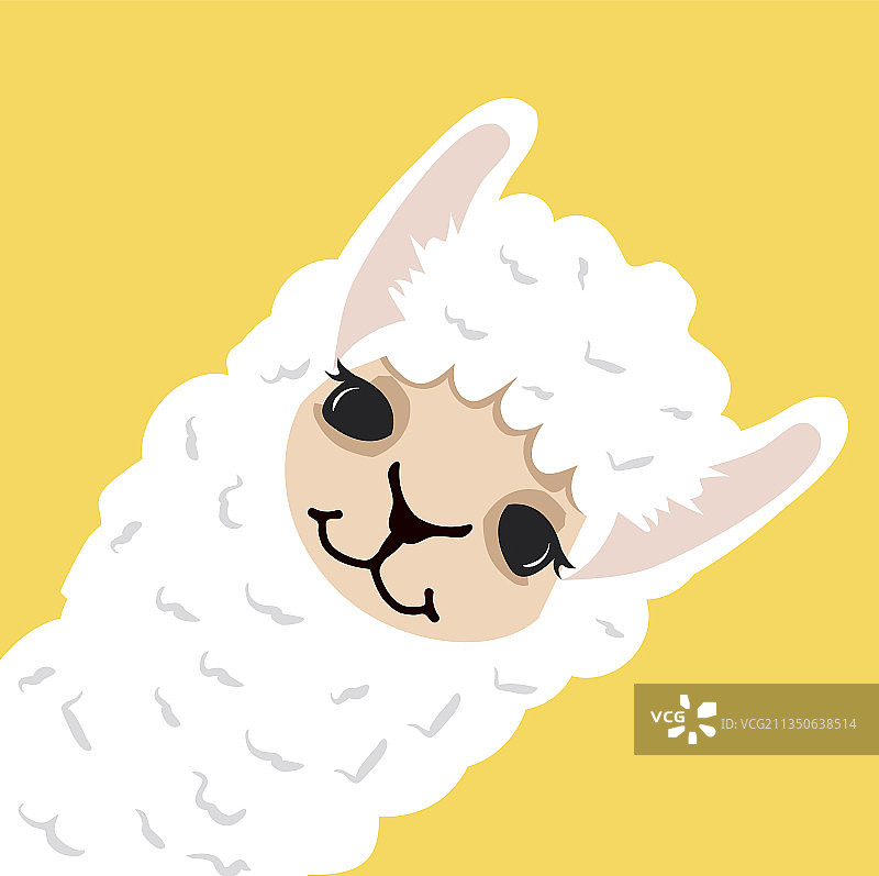 黄色背景上可爱的美洲驼羊驼头部图片素材
