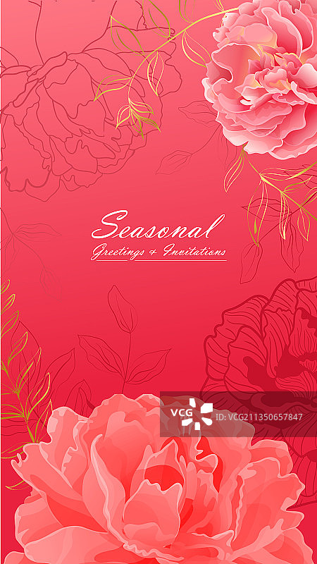 柔和的粉色牡丹花卉肖像banner图片素材