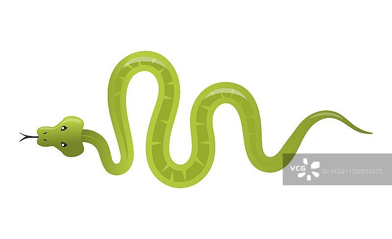 绿色蛇 - 创意现代卡通风格图片素材
