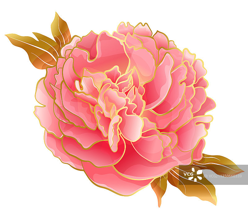 东方潮流粉彩粉色牡丹花图片素材