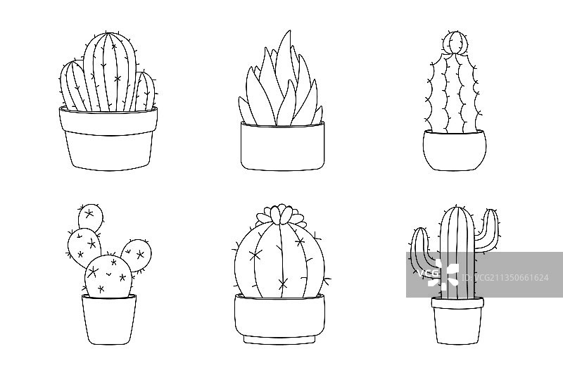线条艺术设计元素仙人掌六件套图片素材