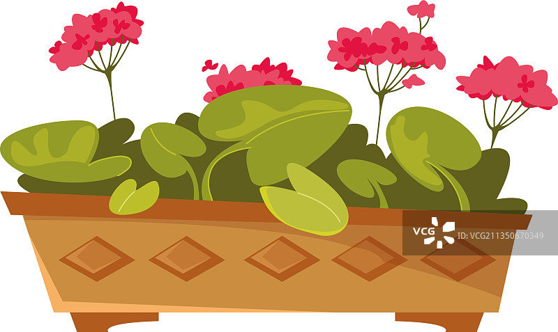 卡通风格盆栽天竺葵图片素材