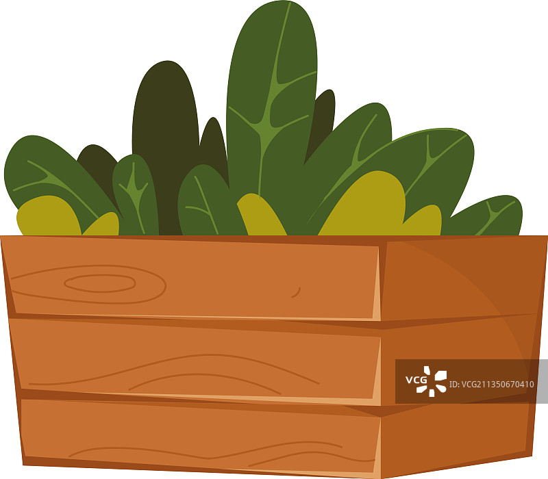 木箱盆栽图片素材