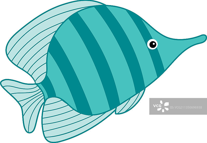 可爱的热带绿松石色小鱼图片素材