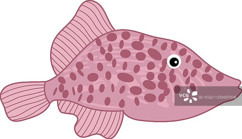 可爱热带粉色小鱼图案图片素材