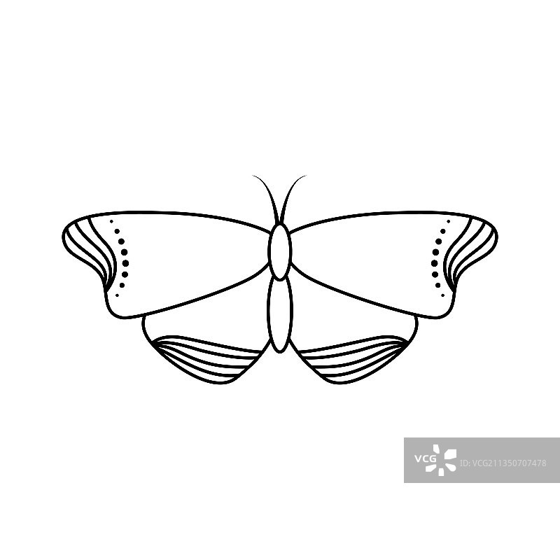 线条艺术风格蝴蝶图标图片素材