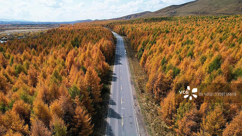 黄岗梁醉美秋色图片素材