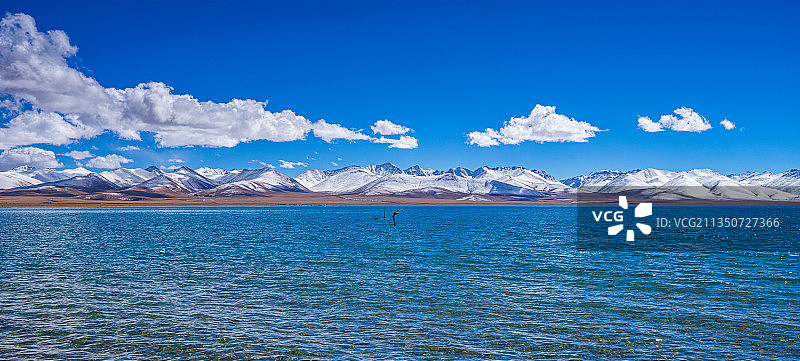 纳木错远望念青唐古拉山图片素材