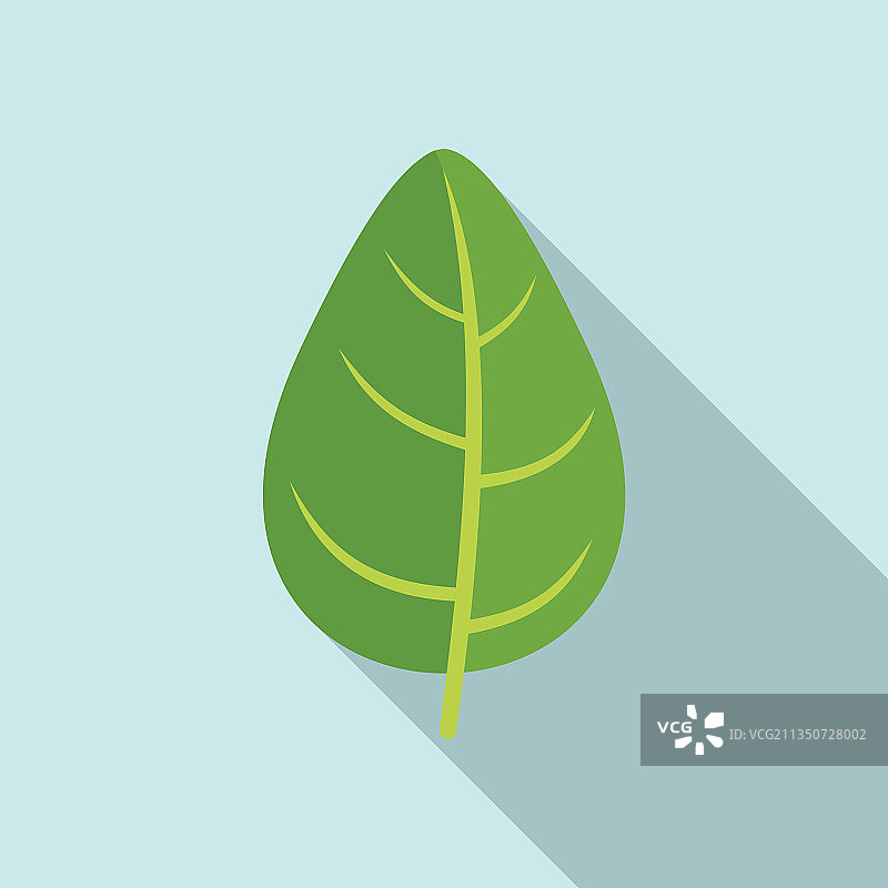 罗勒香料叶扁平图标图片素材
