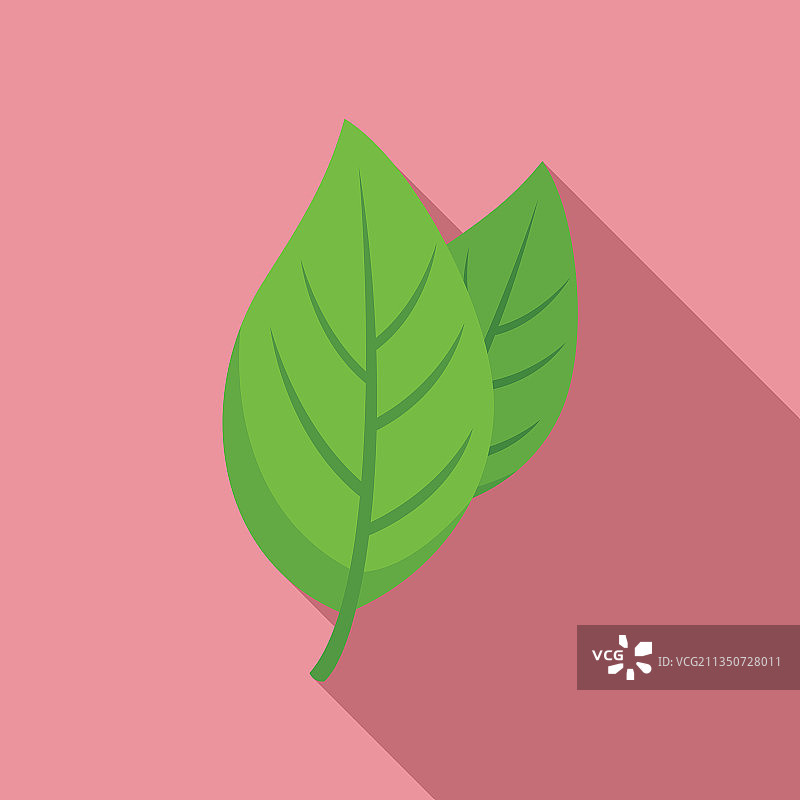 罗勒香料植物叶子图标图片素材
