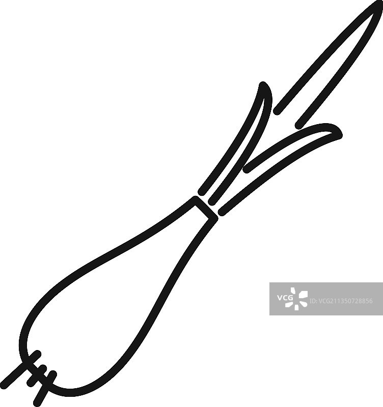 葱韭菜轮廓香草图标图片素材