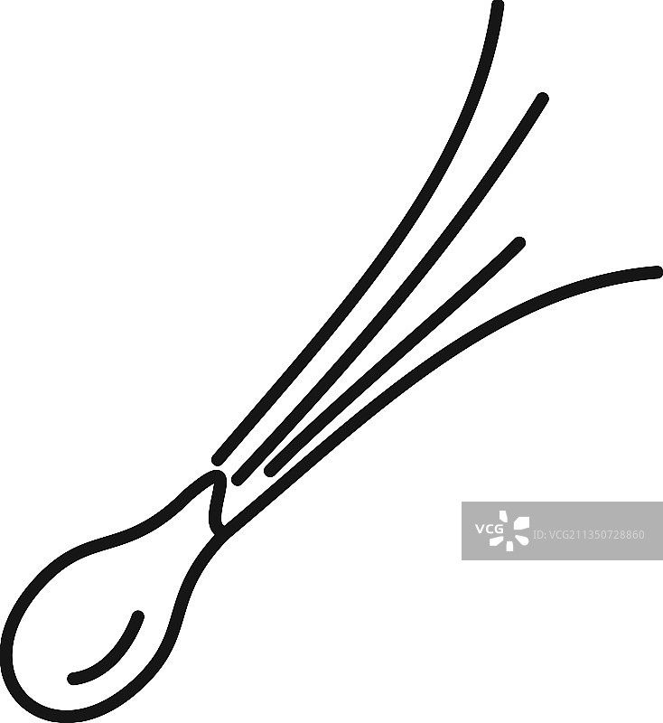 细香葱罗勒图标洋葱轮廓图片素材