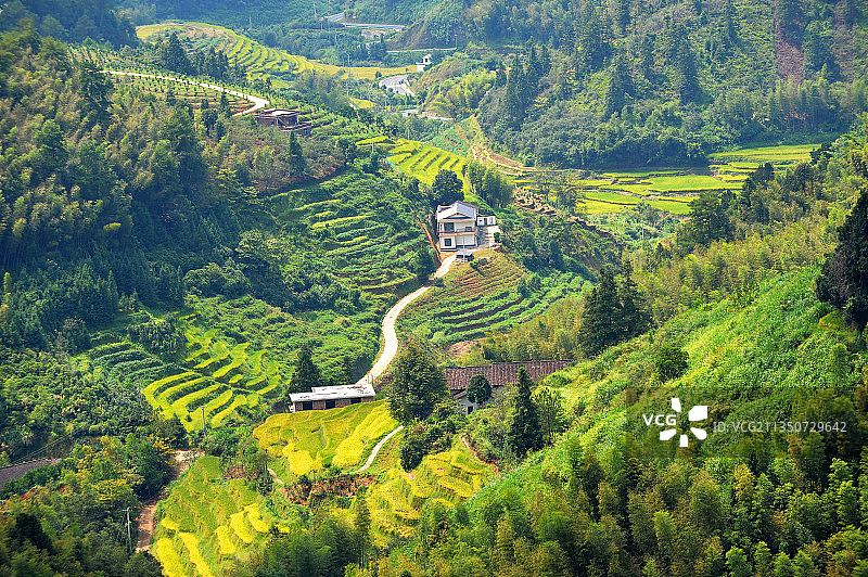 江西，崇义，上堡梯田。图片素材