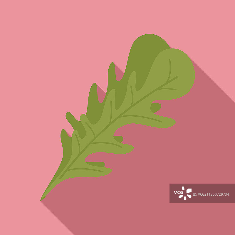 芝麻菜火箭图标扁平rucola沙拉图片素材