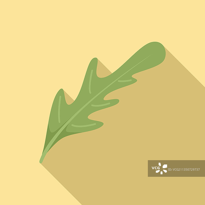 芝麻菜生菜图标扁平风格图片素材