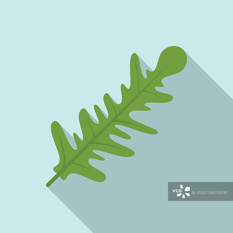 芝麻菜沙拉扁平图标图片素材