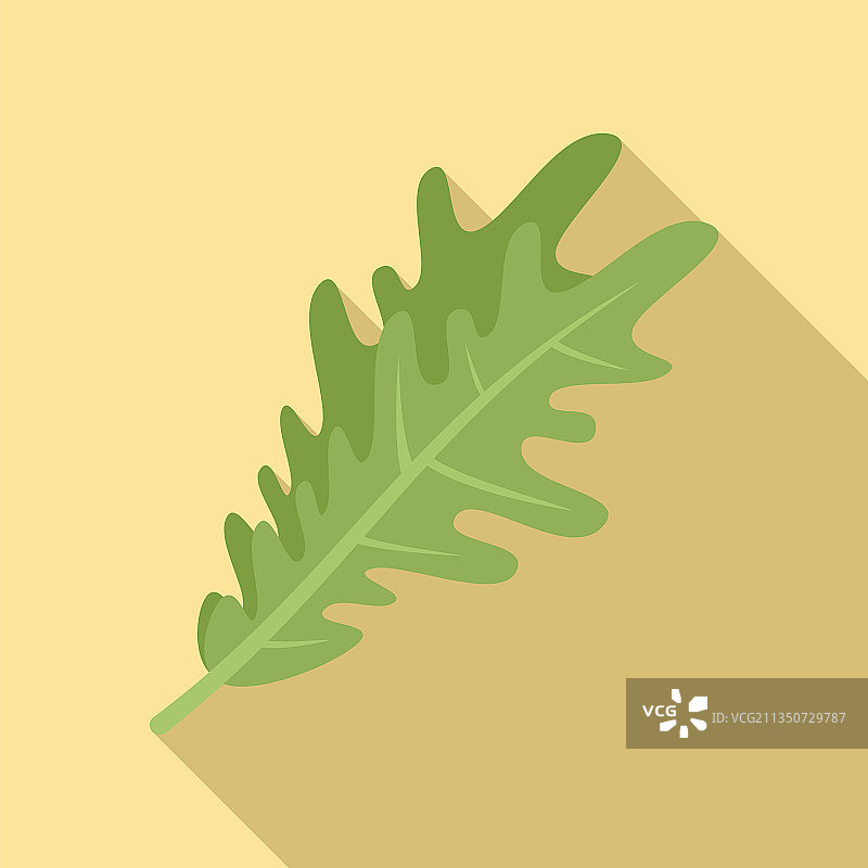 芝麻菜香草图标扁平风格的芝麻菜沙拉图片素材